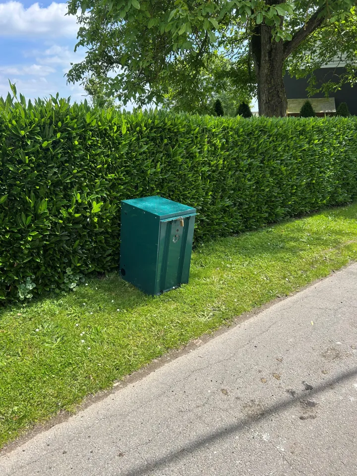 Intervention de dératisation