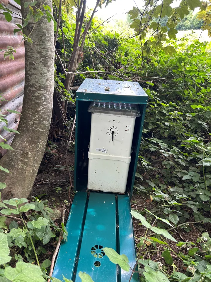 Solution de dératisation sans poison à Namur